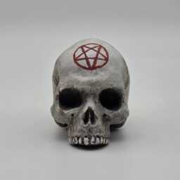 Solid Tiny Human Half Skull Ornament. Small Replica Plaster Of Paris Skull - thumbnail 3