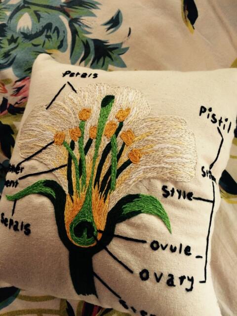Hand-Embroidered Flower Cross Section & Diagram Pillow