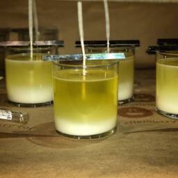 Autumn ~ Soy Candle, Fresh Pumpkin & Coconut - thumbnail 3
