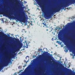 Starfish Art Beach House Starfish Print Decor Coastal Wall Nautical Art, 11 X 14 - thumbnail 3