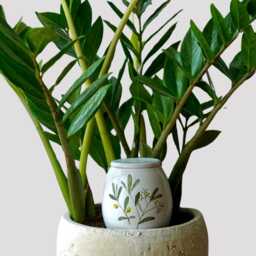 Pot D'arrosage Automatique En Argile Fait Main ??dition D'??t?? Plant Olla - 35 Cl - thumbnail 2