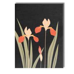 Minimalist Coral Iris Flowers Black Background Botanical Artwork Canvas Wall Art Print Decor Picture Ready To Hang - thumbnail 1