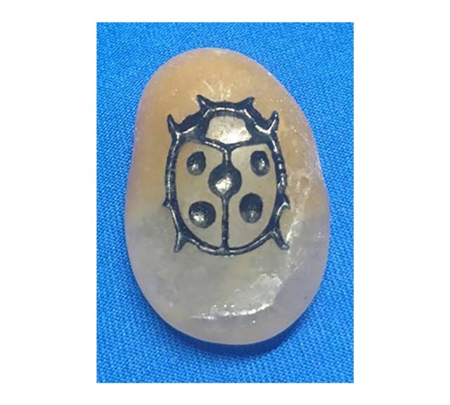 Talistone Ladybug