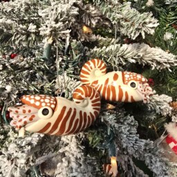 Nautilus Christmas Ornament - thumbnail 4