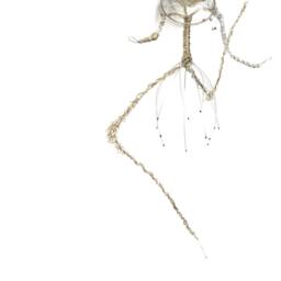 Ballet Dancer Polymer Clay, Wire, Metal Mesh Sculpture Ooak/Abstract Modern Art - thumbnail 2