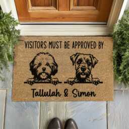 Visitors Approved By Mat - New Home Gift For Friends Unique Coir Entryway Decor - thumbnail 4
