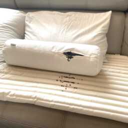 Buckwheat Pillow Set - 2 Organic Cotton Bed Pillows With Zipped Cases - thumbnail 3