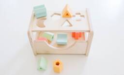 Wooden Shape Sorter - Montessori Inspired Sorting Toy For Toddlers Wood & Silicone - thumbnail 1