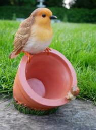 Sitting Robin Bird Feeder Ornament - thumbnail 2