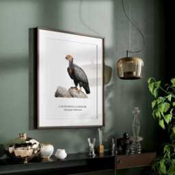 Bird Print, California Condor Poster Illustration, Gifts, Birds Of Prey, Home Wall Decor - thumbnail 3