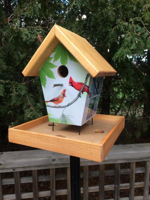 Handmade Cardinal Bird Feeder, Clear Pine Base - image 1