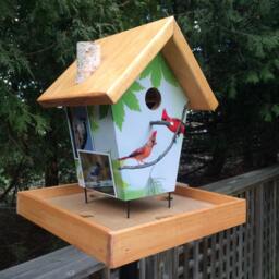 Handmade Cardinal Bird Feeder, Clear Pine Base - thumbnail 2