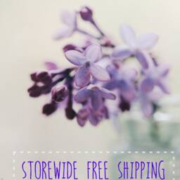Lilacs & Cherries Art Print - Flower & Fruit Still Life By Cecilia Rosslee - thumbnail 3