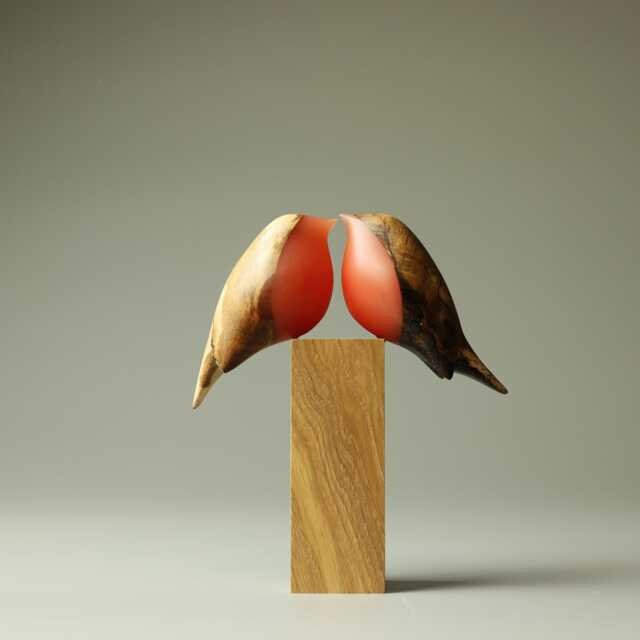 Love Robins - 227 - image 1