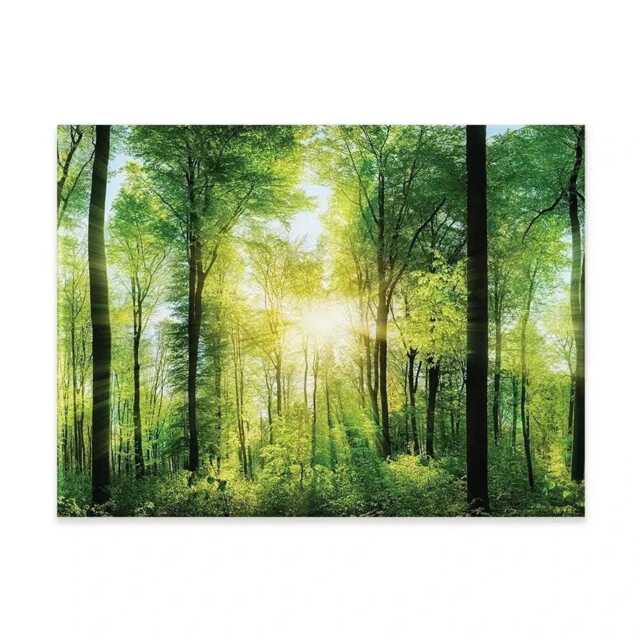 Scenic Forest Canvas Print, Sunlight Through Green Trees, Ready To Hang - image 1