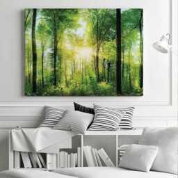 Scenic Forest Canvas Print, Sunlight Through Green Trees, Ready To Hang - thumbnail 2