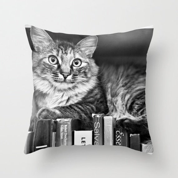 Cat Pillow Case Kitten Cover - Book 16x16 18x18 20x20 - image 1