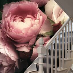 Pink Roses Wall Mural, Dark Floral Peel & Stick Wallpaper, Self-Adhesive, Renter Friendly, Removable Roll, Accent Room Decor - thumbnail 4