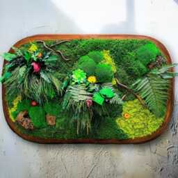 Moss Wall Art, Preserved Greenery, Solid Oak Frame, Botanical Painting - thumbnail 2