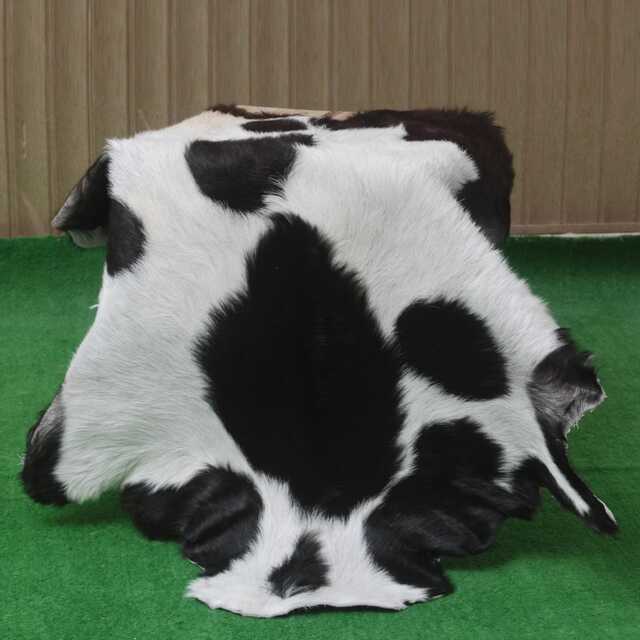 Black & White Goat Skin Rug, Natural Hair-On Hide Leather, 34x26 Inches - image 1
