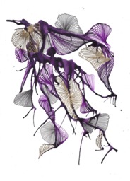 Original Abstract Art - Purple Hues, Black, White & Gold Ink, Pen & Leaf On Bristol Paper - thumbnail 1