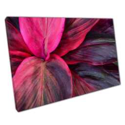 Tropical Foliage Canvas Print Magenta Purple Leaves Wall Art For Home Office Jungle Decor - thumbnail 1
