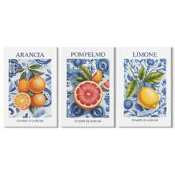 Canvas Set Of 3 Wall Art - Vintage Citrus Fruit Illustrations, Blue Large, Plants & Flowers Hanging Piece - thumbnail 2