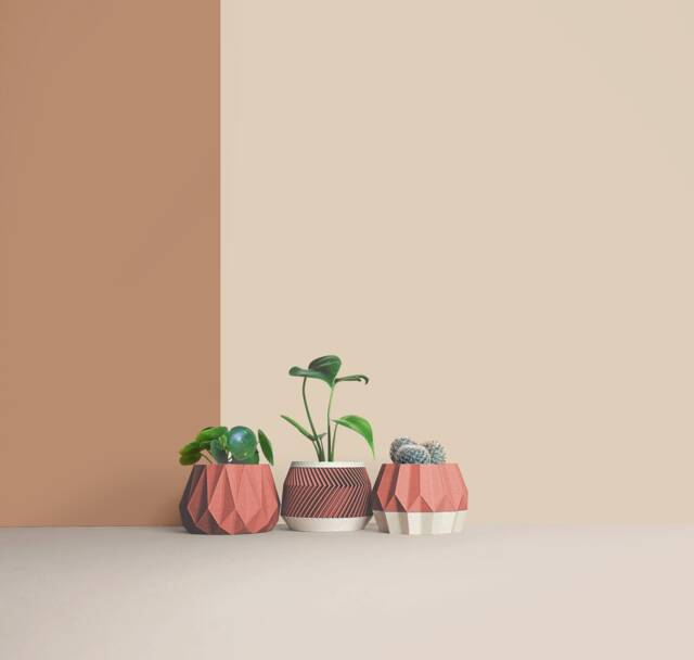 Set Of 3D Printed Cactus Planters, Succulent Mid Century Idea Gift For Home - image 1