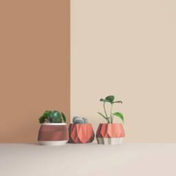 Set Of 3D Printed Cactus Planters, Succulent Mid Century Idea Gift For Home - thumbnail 3
