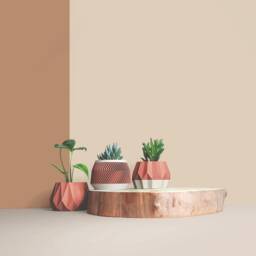 Set Of 3D Printed Cactus Planters, Succulent Mid Century Idea Gift For Home - thumbnail 2
