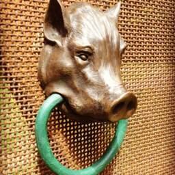 Pot-Bellied Pig - thumbnail 3