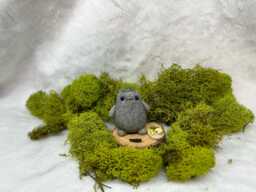 Rock Pet, Desk Buddy Comes With Adoption Certificate - thumbnail 1