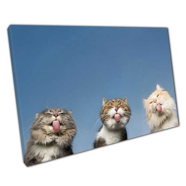 Humorous Feline Photography Canvas Print Of Three Cats Licking Invisible Glass - Pet Wall Art Decor - image 1