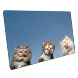Humorous Feline Photography Canvas Print Of Three Cats Licking Invisible Glass - Pet Wall Art Decor - thumbnail 1