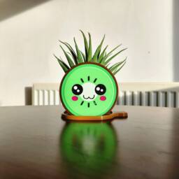 Kawaii Kiwi Flower Pot - Unique & Quirky Plant Home - thumbnail 2