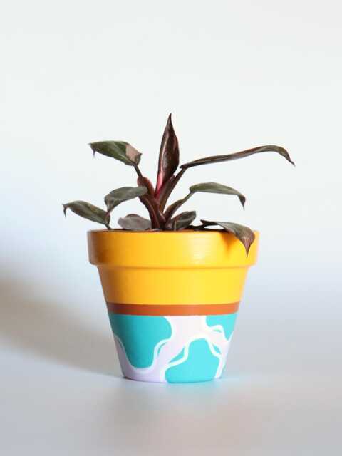 Hand Painted Terracotta Plant Pot With Drainage Customisable Colours & Size Optional Saucer - image 1