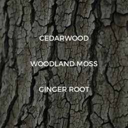 Dried Cedar + Moss Candle - thumbnail 2