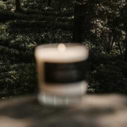Dried Cedar + Moss Candle - thumbnail 4