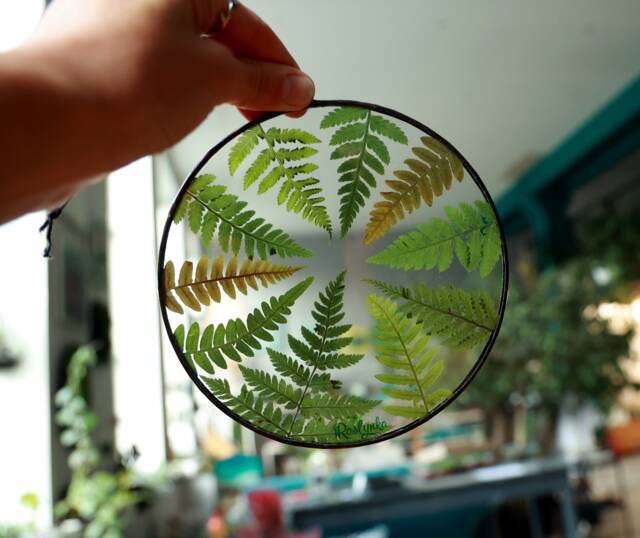 Dried Fern Plant in Stained Glass Frame, Pressed Green & Yellow Leaves, Botanical Wall Hanging, Round Floating Nature Lover Gift - image 1