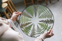 Dried Fern Plant in Stained Glass Frame, Pressed Green & Yellow Leaves, Botanical Wall Hanging, Round Floating Nature Lover Gift - thumbnail 3