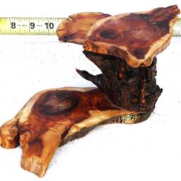 "Burlwood Bonsai Mini Accent Display Table Stand 9.5"" X 8.5"" 4.5" - thumbnail 2
