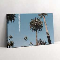 Palm Trees in Los Angeles Canvas, Picture Wall Hanging, Blue Decor, Travel Canvas Print - thumbnail 2