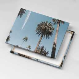 Palm Trees in Los Angeles Canvas, Picture Wall Hanging, Blue Decor, Travel Canvas Print - thumbnail 1