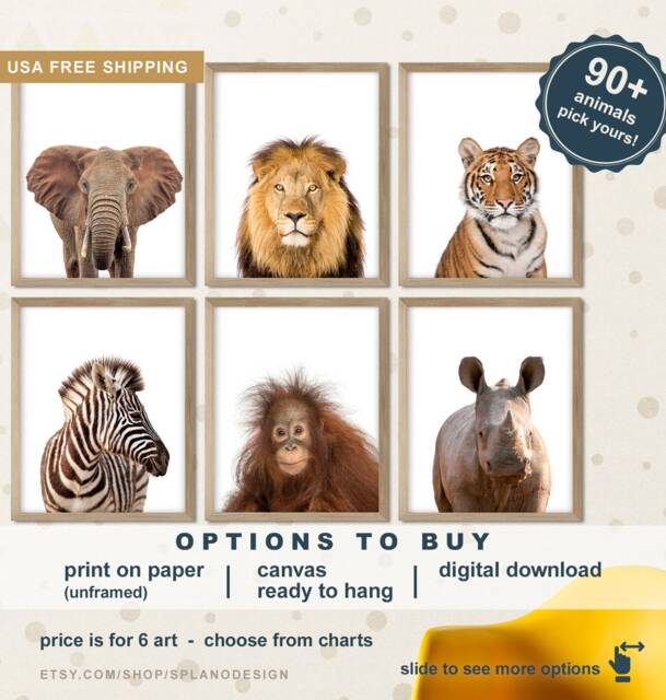 African Animals Prints, Safari Modern Home Decor, Zoo Nursery Animal Prints For Kids Room, Canvas - image 1