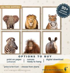 African Animals Prints, Safari Modern Home Decor, Zoo Nursery Animal Prints For Kids Room, Canvas - thumbnail 1