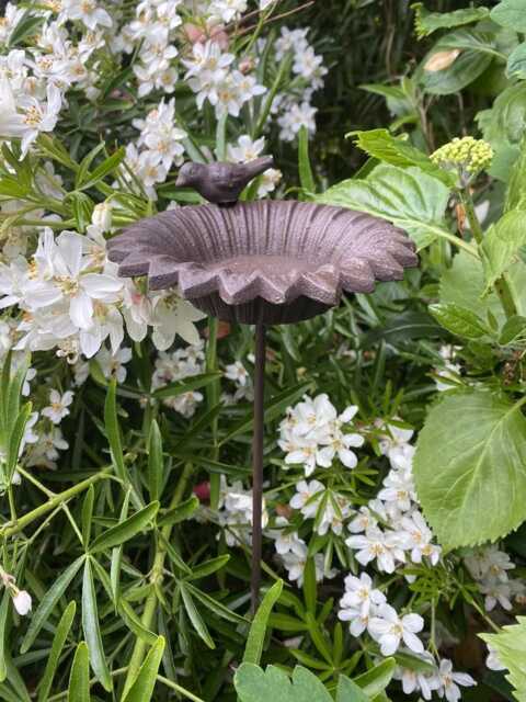 Small Bird Feeder Flower Stake - Dish Table Birdbath Cast Iron Garden Gift Ornament - image 1