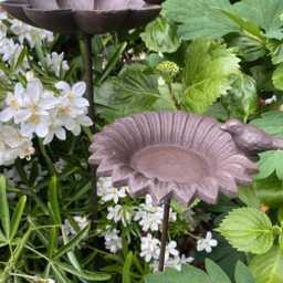 Small Bird Feeder Flower Stake - Dish Table Birdbath Cast Iron Garden Gift Ornament - thumbnail 4