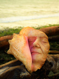 Memories Of The Past, Seashell Woman, Beach Secret, Conch Shell Sculpture By Shapingspirit - thumbnail 1