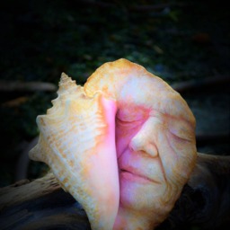 Memories Of The Past, Seashell Woman, Beach Secret, Conch Shell Sculpture By Shapingspirit - thumbnail 2