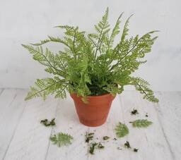 Faux Green Fern Plant in Vintage Terracotta Pot, Realistic Home Decor